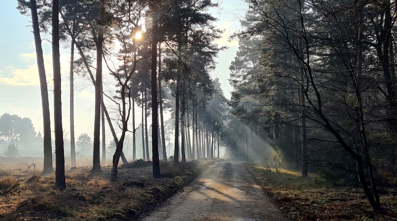 MTB Tour de Meinweig