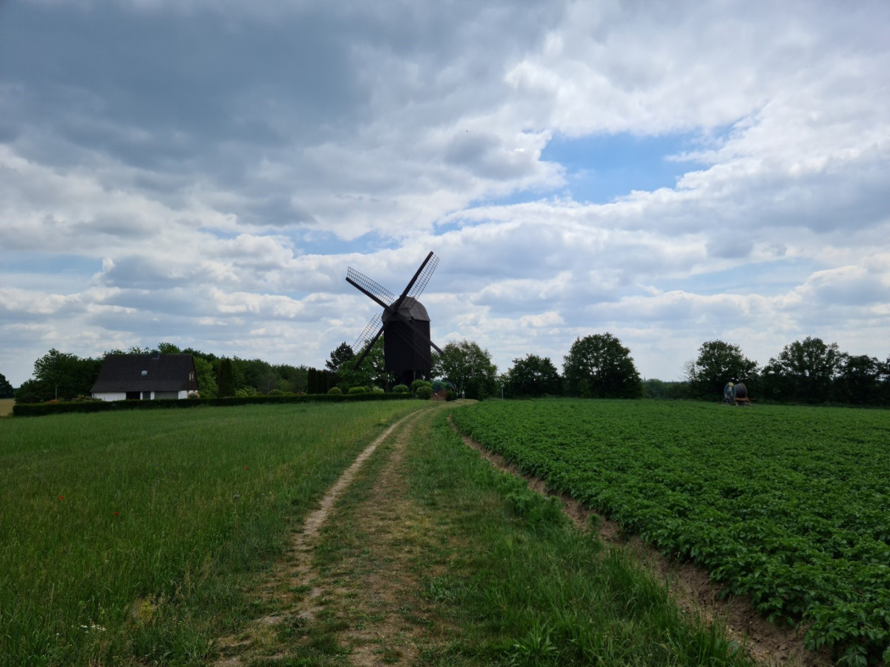 Zur Zeche Tönisberg / Niederberg