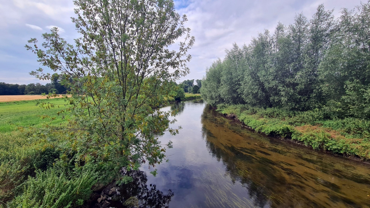 TomBasi - De Meinweg