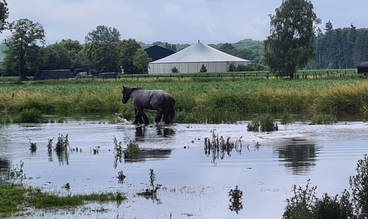 Hochwasser-Niersrunde